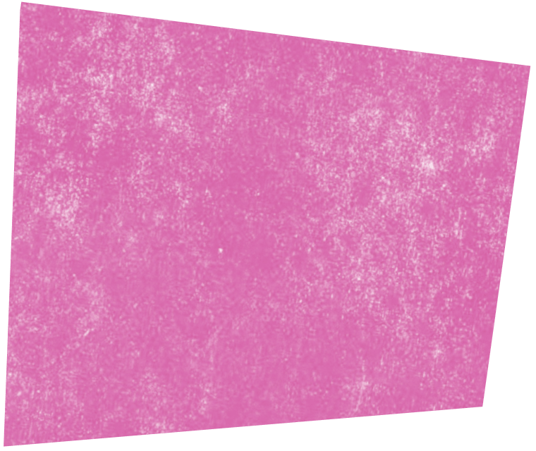 Rectangle Skew Purple PayCaptain
