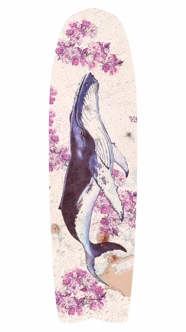 Baleine