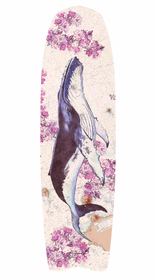 Baleine