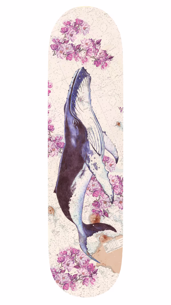 Baleine
