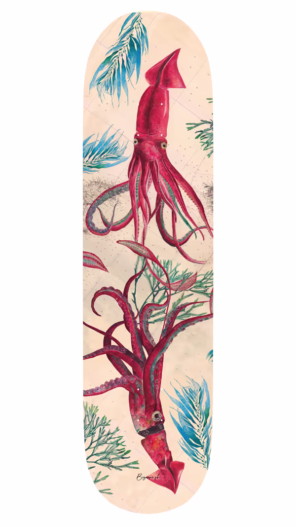 Calamars
