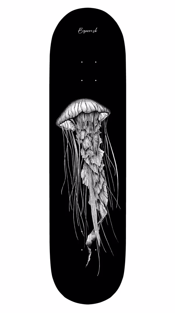 Meduse