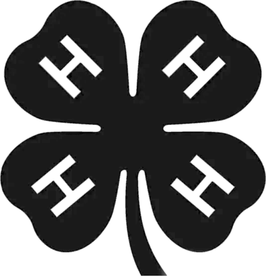 Pennsylvania 4H