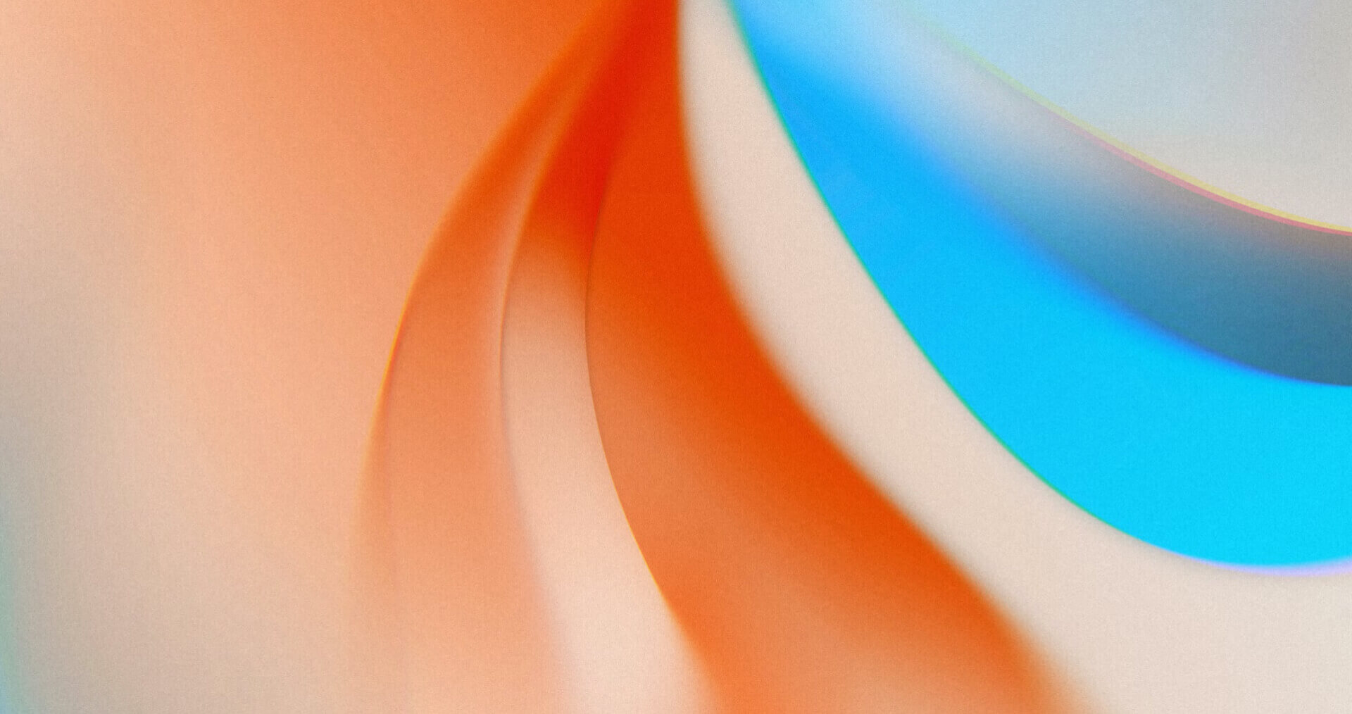 Portfolio Image 3