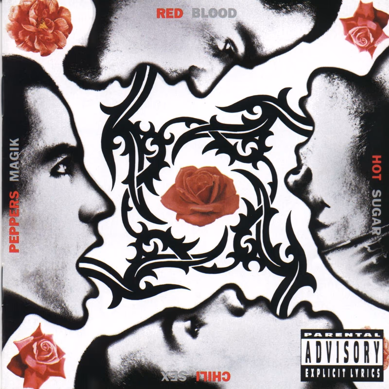 Blood Sugar Sex Magik album cover artwork by Red Hot Chili Peppers