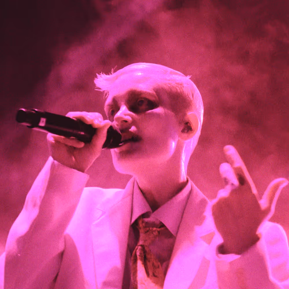 Photo of Fever Ray, image source Apple Music