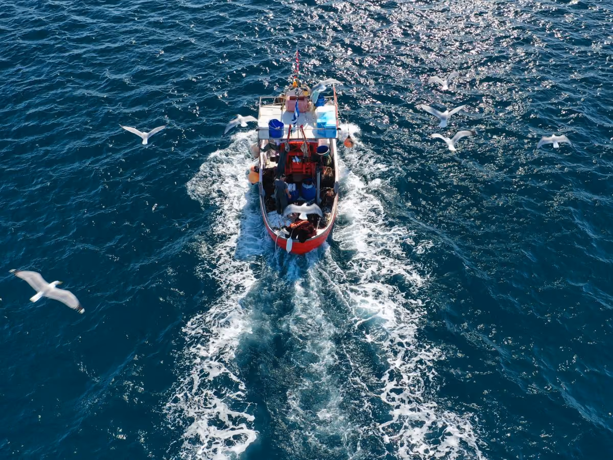 Mitsubishi engines for the Fishing market