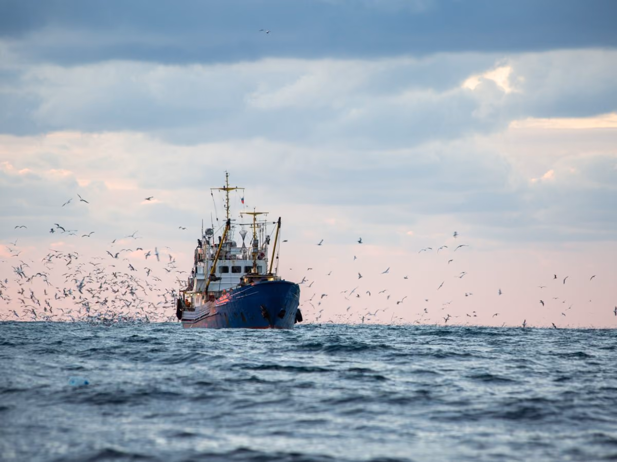Mitsubishi engines for the Fishing market