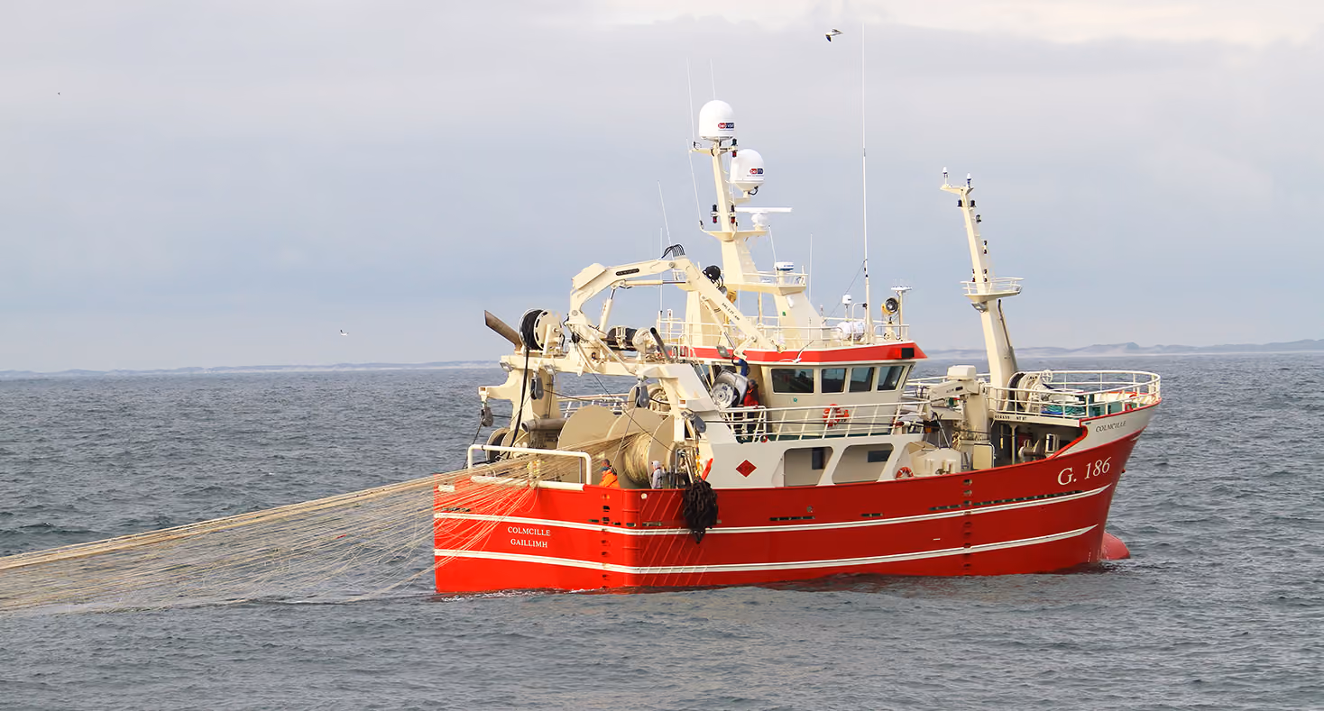 These are the trends shaping fishing around the world