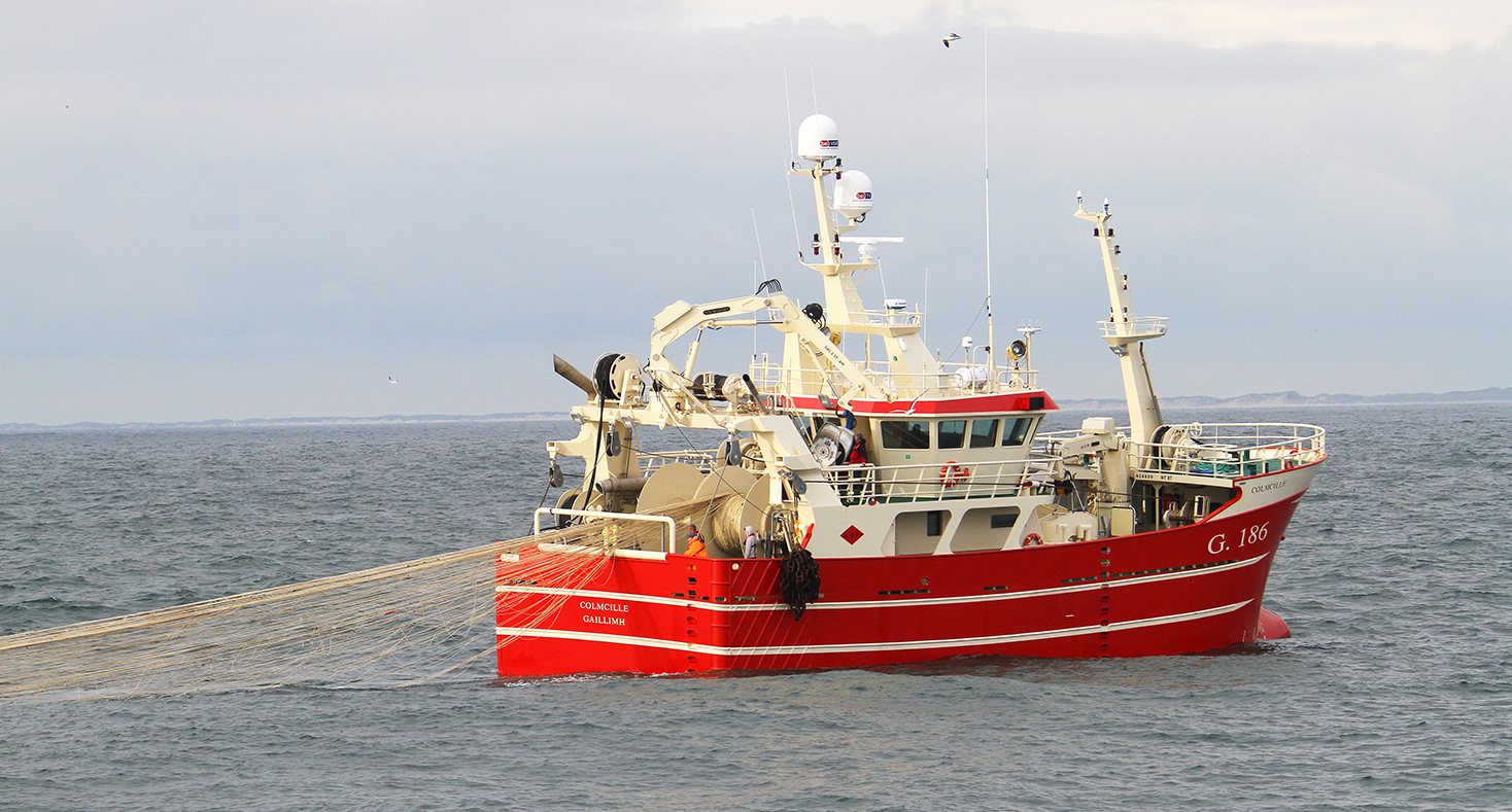 These are the trends shaping fishing around the world