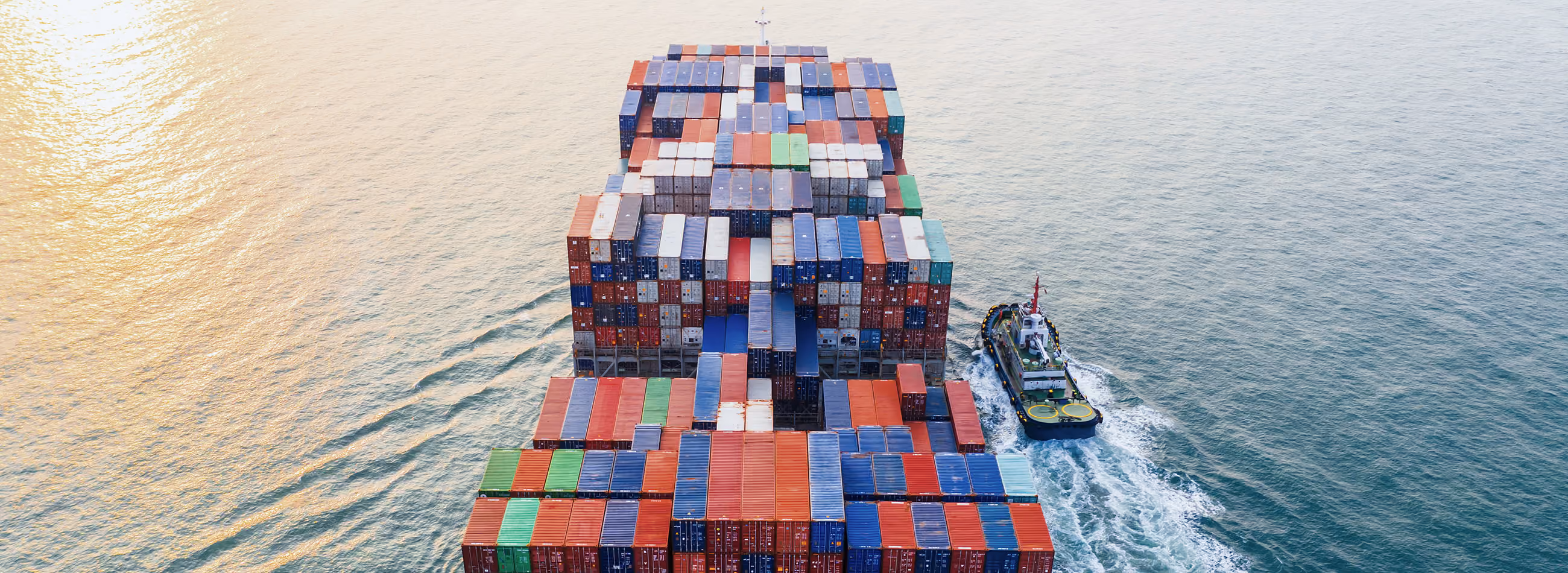Shipping’s route to net zero