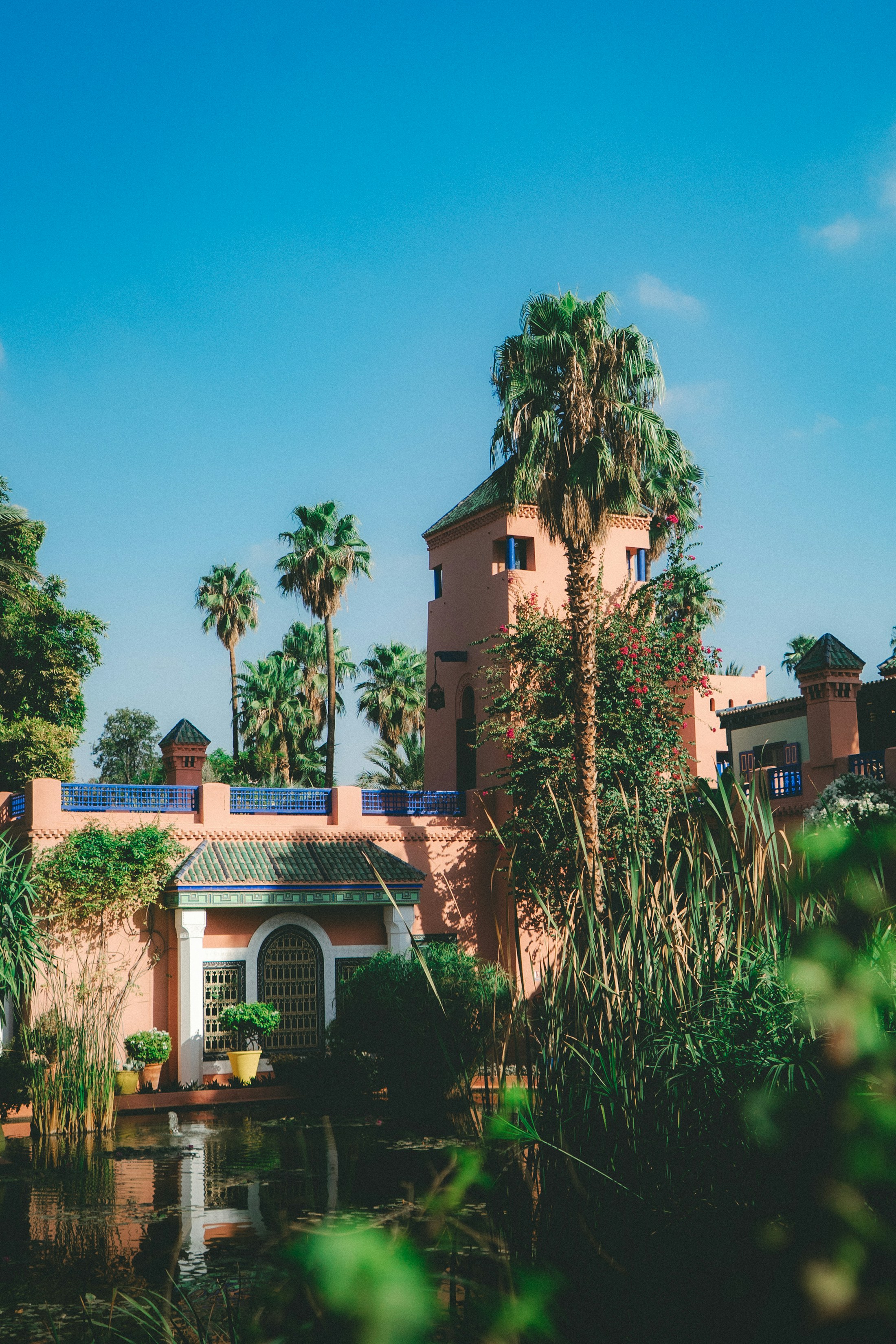 Grande piscine bordée de palmiers à Marrakech