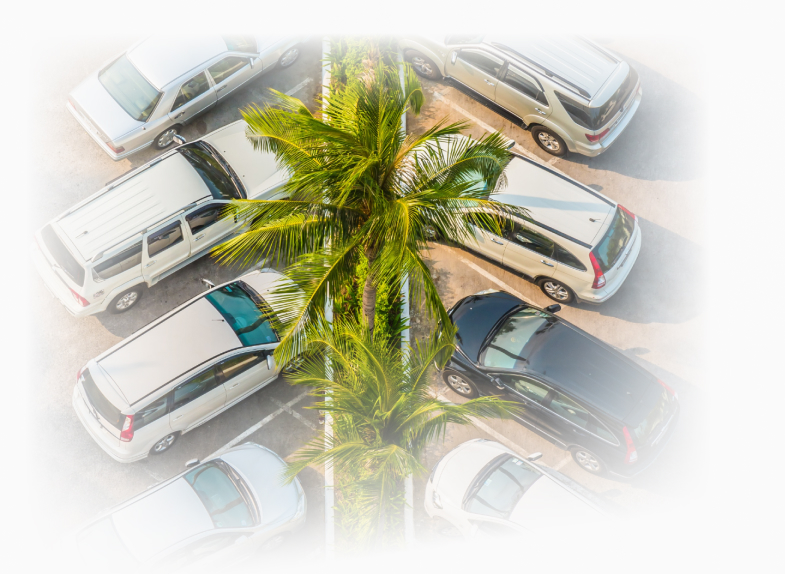 Keeping every neighborhood sparkling with bumper