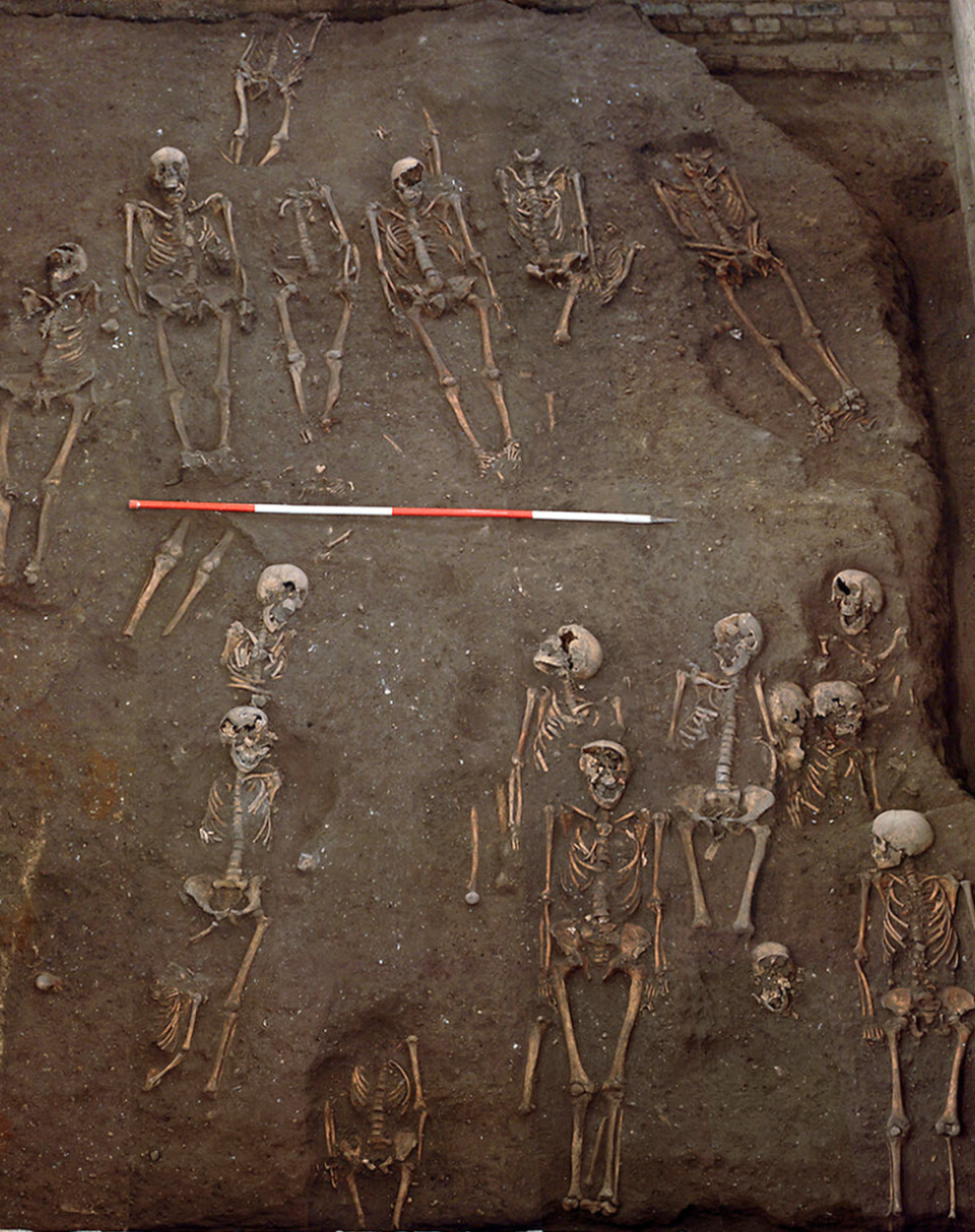 Skeletons in an archaeological dig