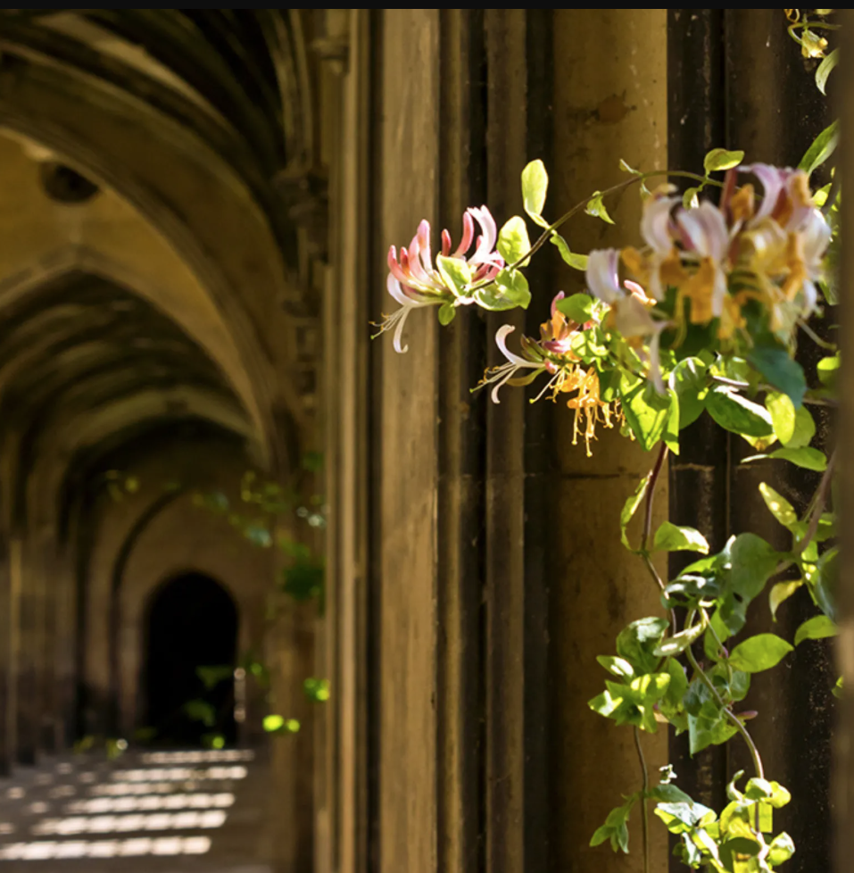 Dr Jessica Jackson photograph