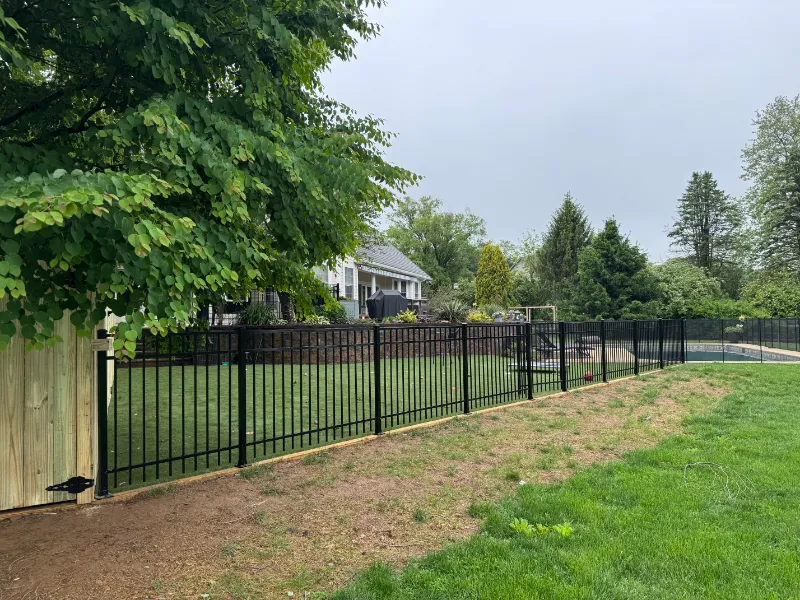 A black metal fence encloses a yard.