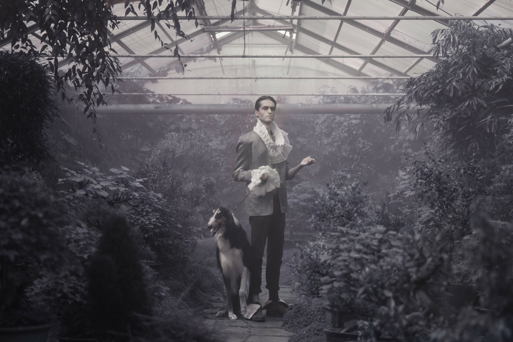 Midjourney prompt engineering for unique photography in greenhouse setting, featuring figure with dog, creative composition, lighting techniques.