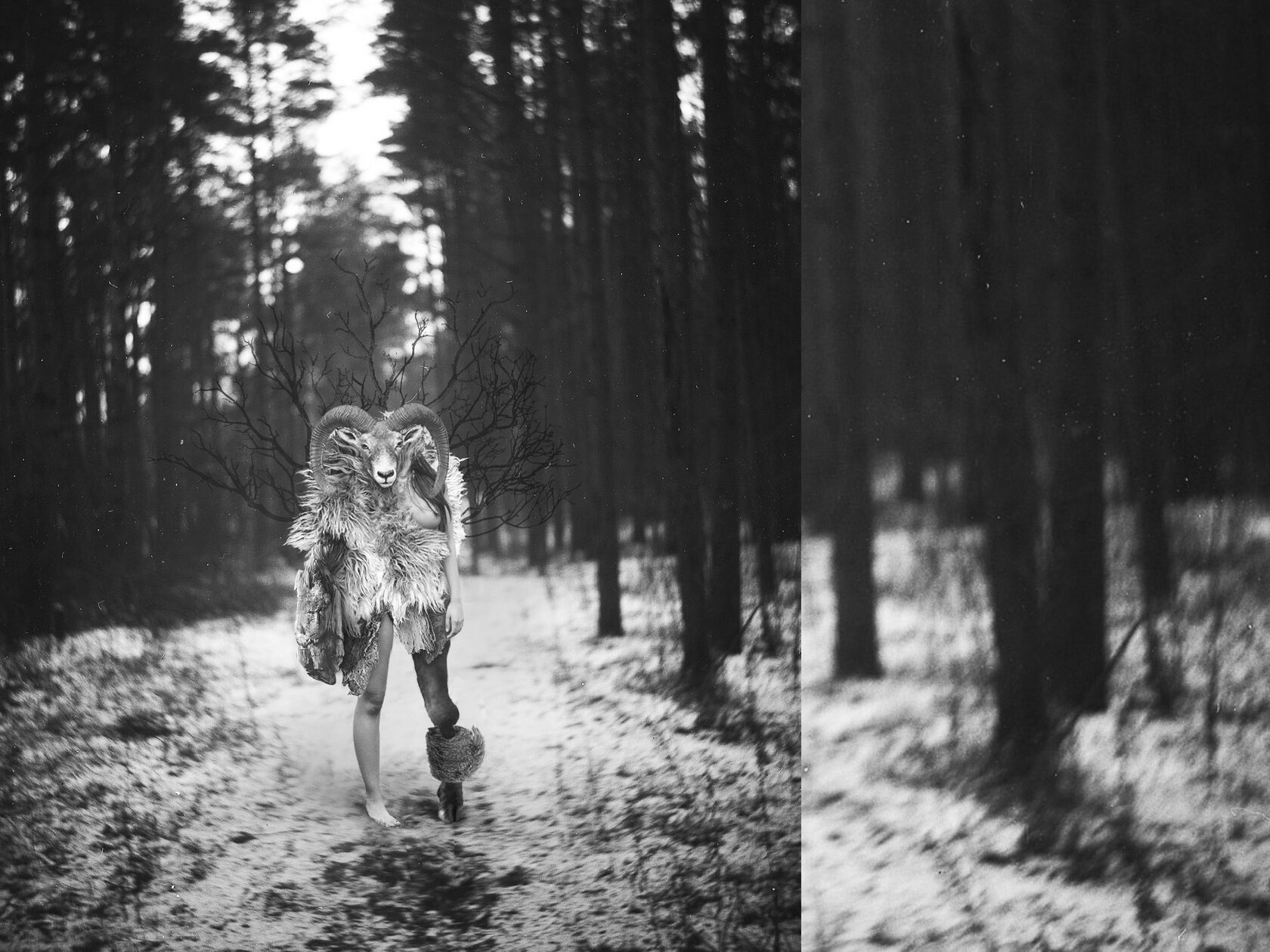 Midjourney prompt for surreal photography featuring human-animal hybrid in forest setting, emphasizing creative expression and unique artistic techniques.