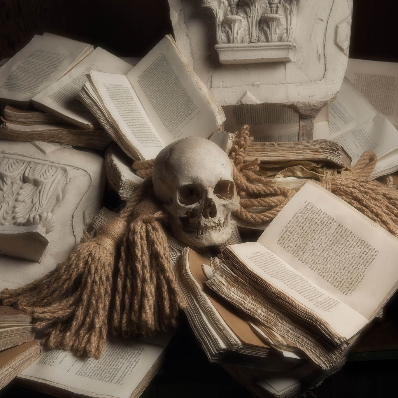 Still-life composition featuring skull, open books, and sculptural elements. Relevant for Midjourney prompt engineering and artistic styles.