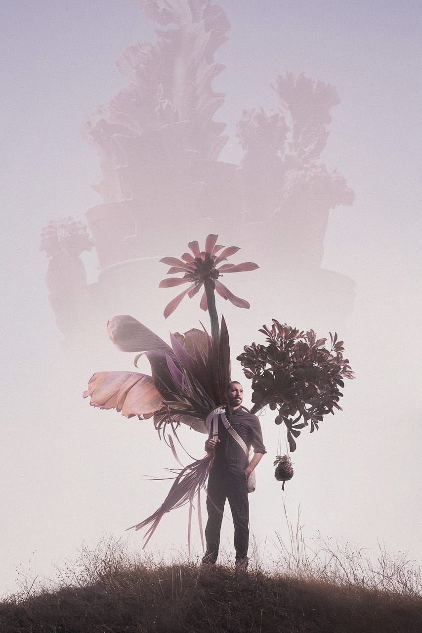 Midjourney prompt showcasing plant-themed composition with layered floral elements, emphasizing creative photography styles and visual references.
