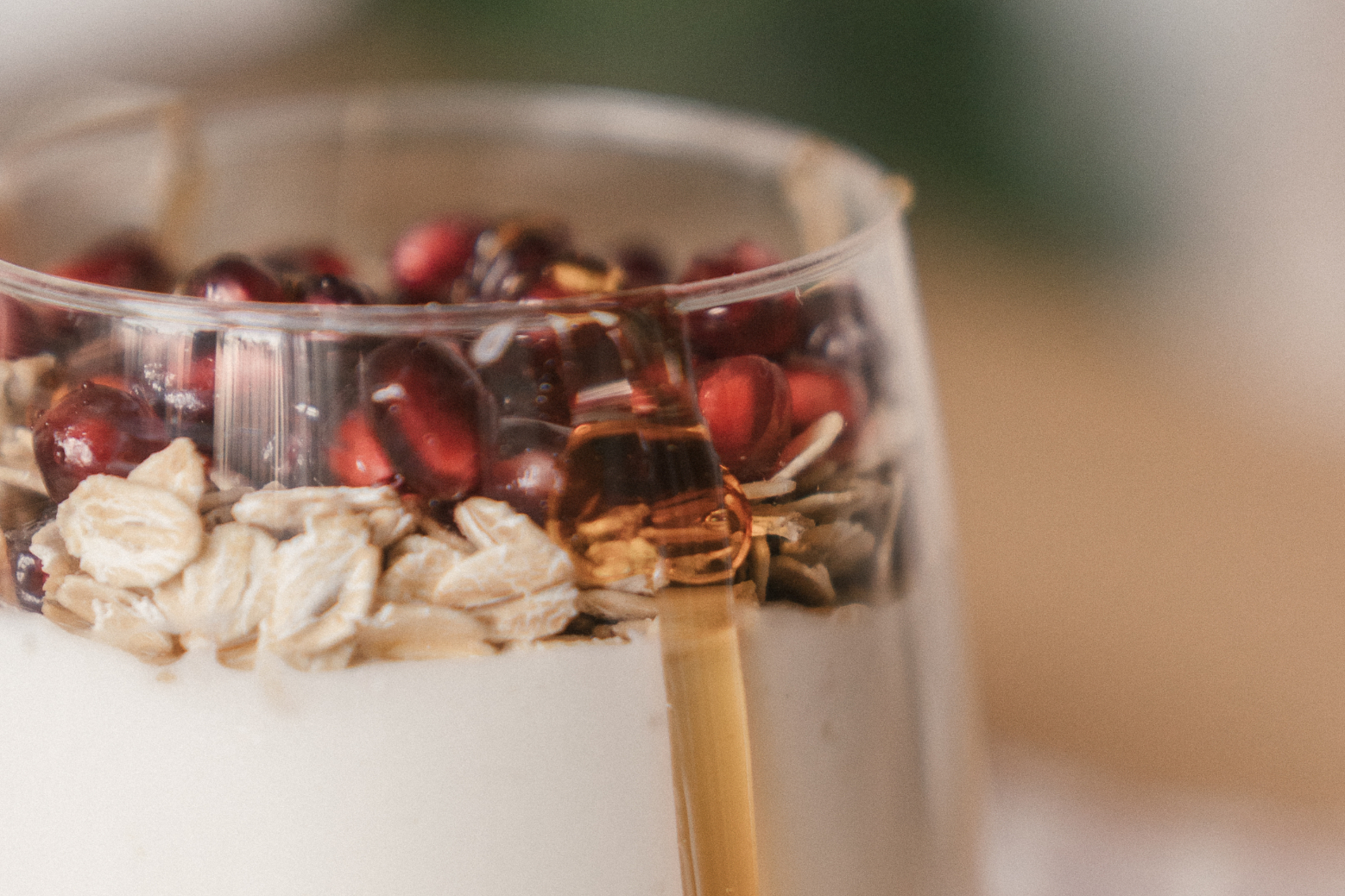 Prebiotics and Probiotics: Why Do They Matter?