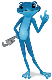 a bluefrog pointing