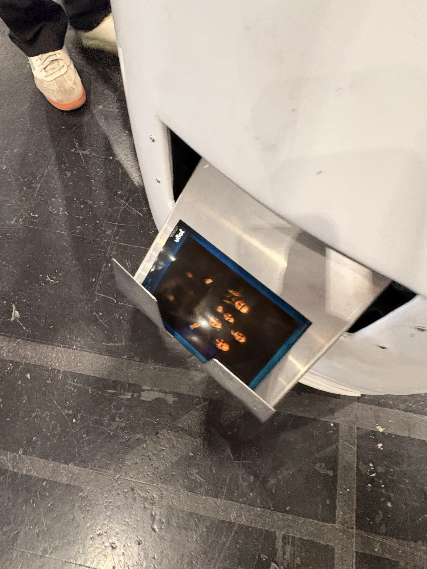 LUNA gibt ein frisch gedrucktes KI-Bild aus dem integrierten Drucker aus