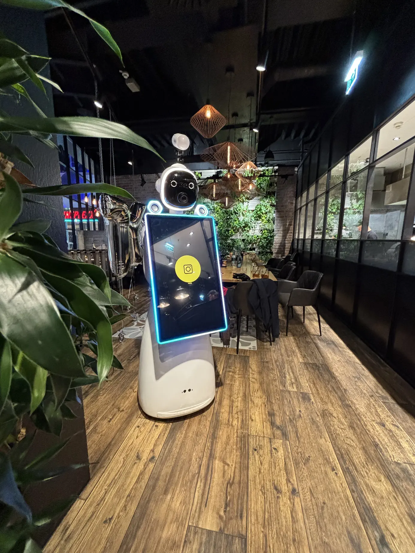 LUNA fährt zwischen den Sitzgruppen und Pflanzen des Restaurants hindurch