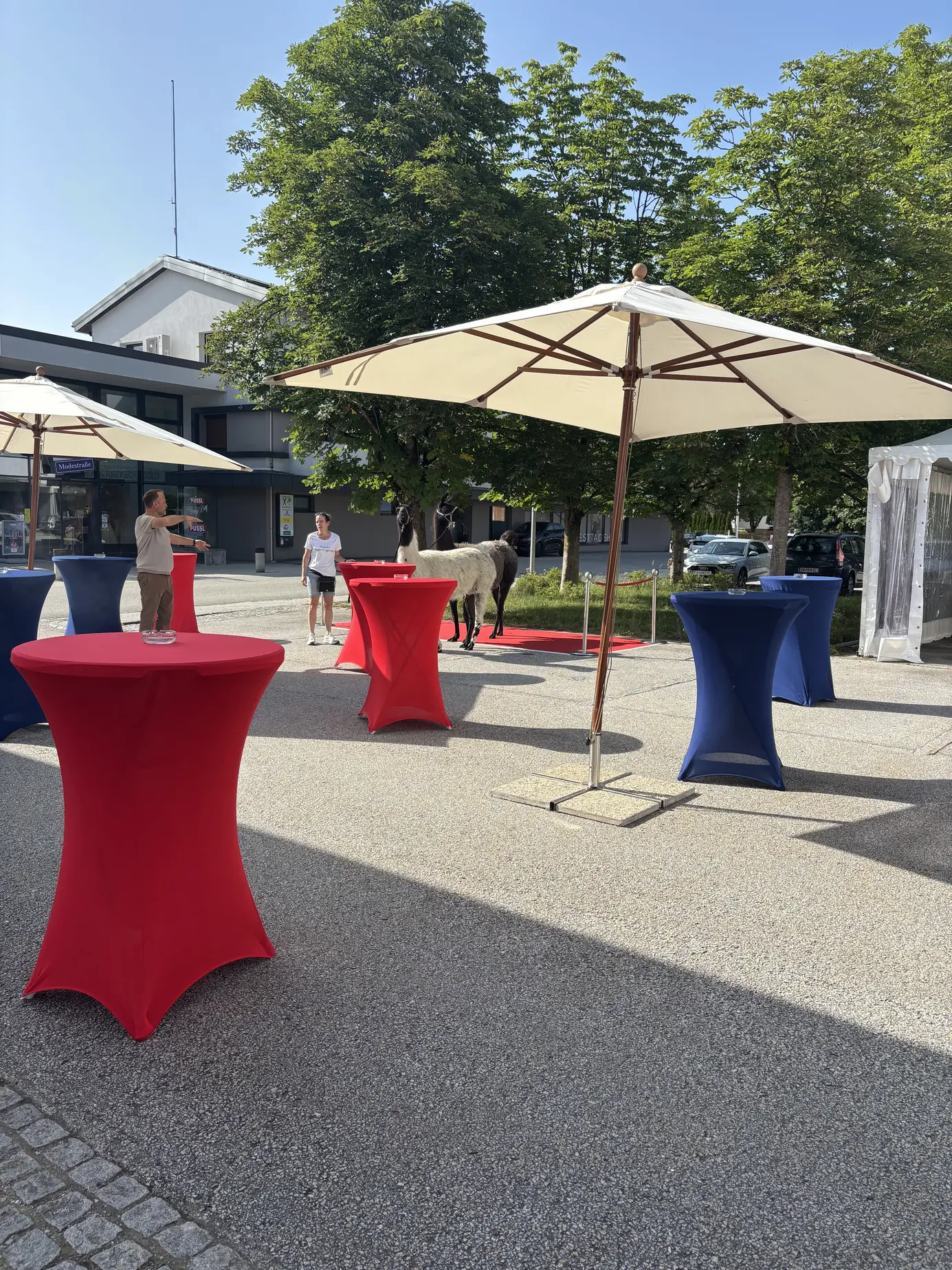 Sommergarten vor der Festhalle mit roten und blauen Stehtischen, Sonnenschirmen und Lamas