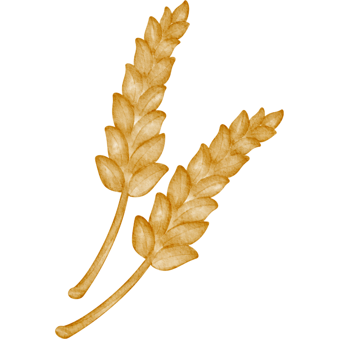 Grafik von Malz.