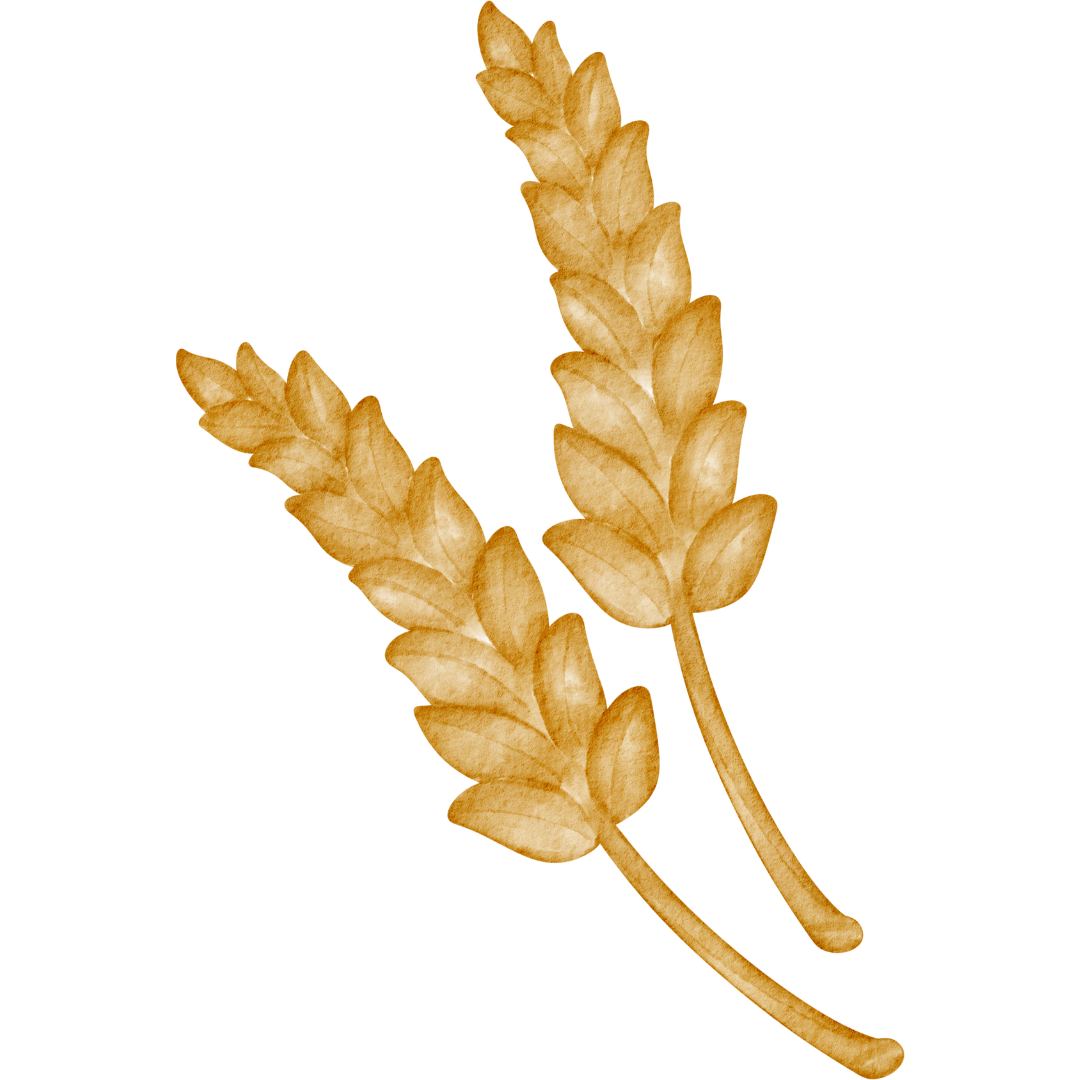 Grafik von Malz.