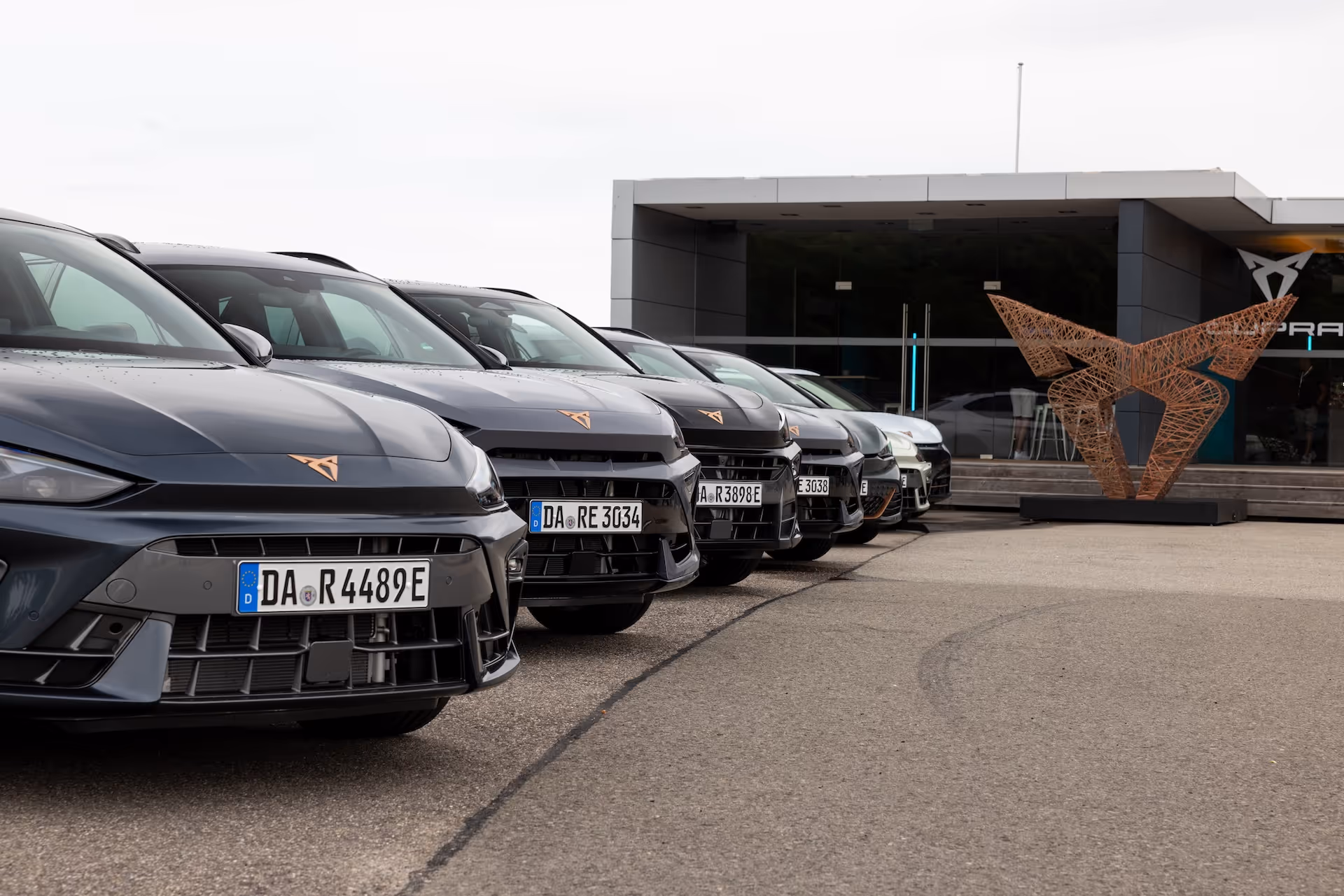 Cupras stehen in in einer Reihe