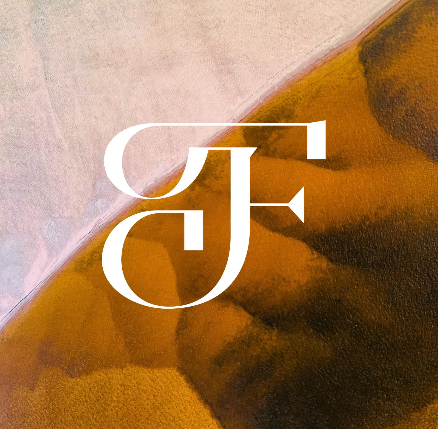 Finwick logo