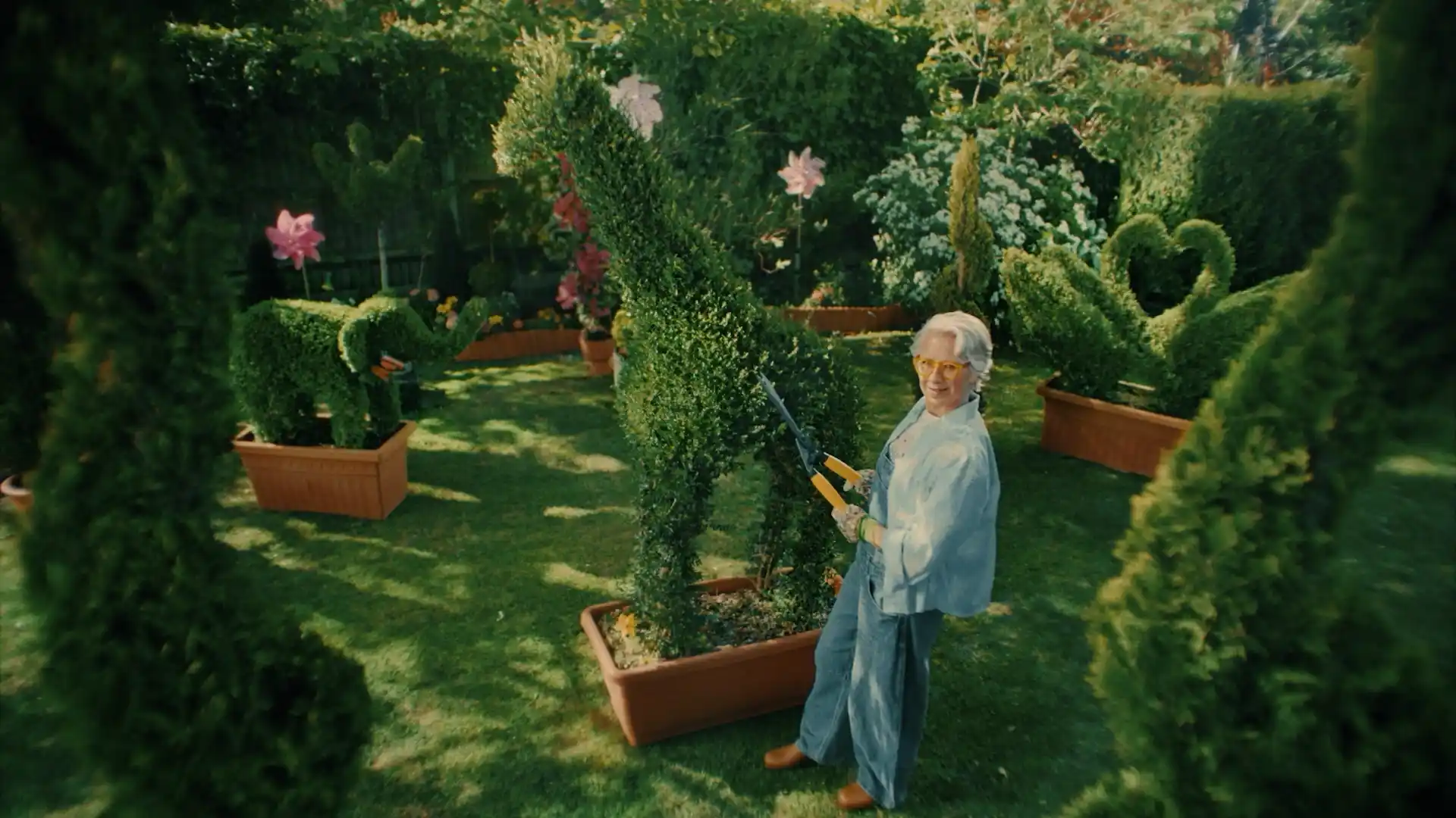 Pension Bee TV Advert