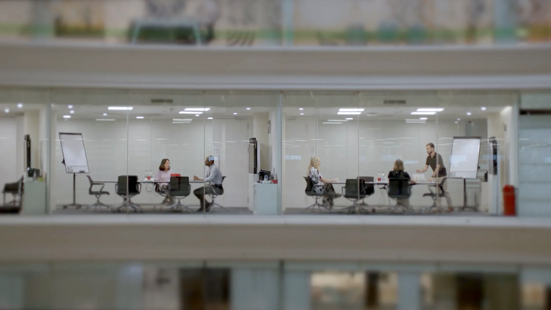 Office windows