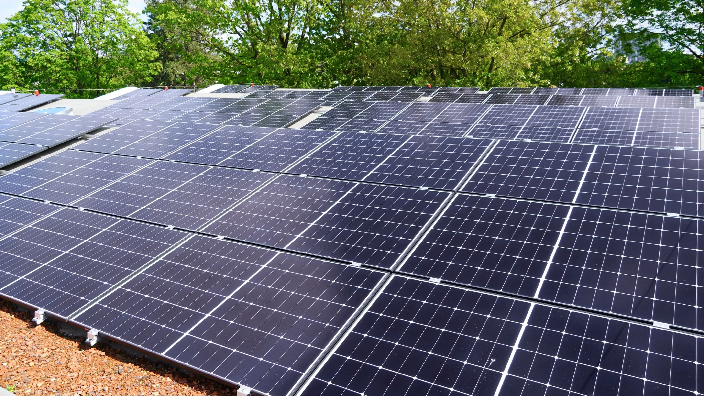 Large photovoltaic panel array