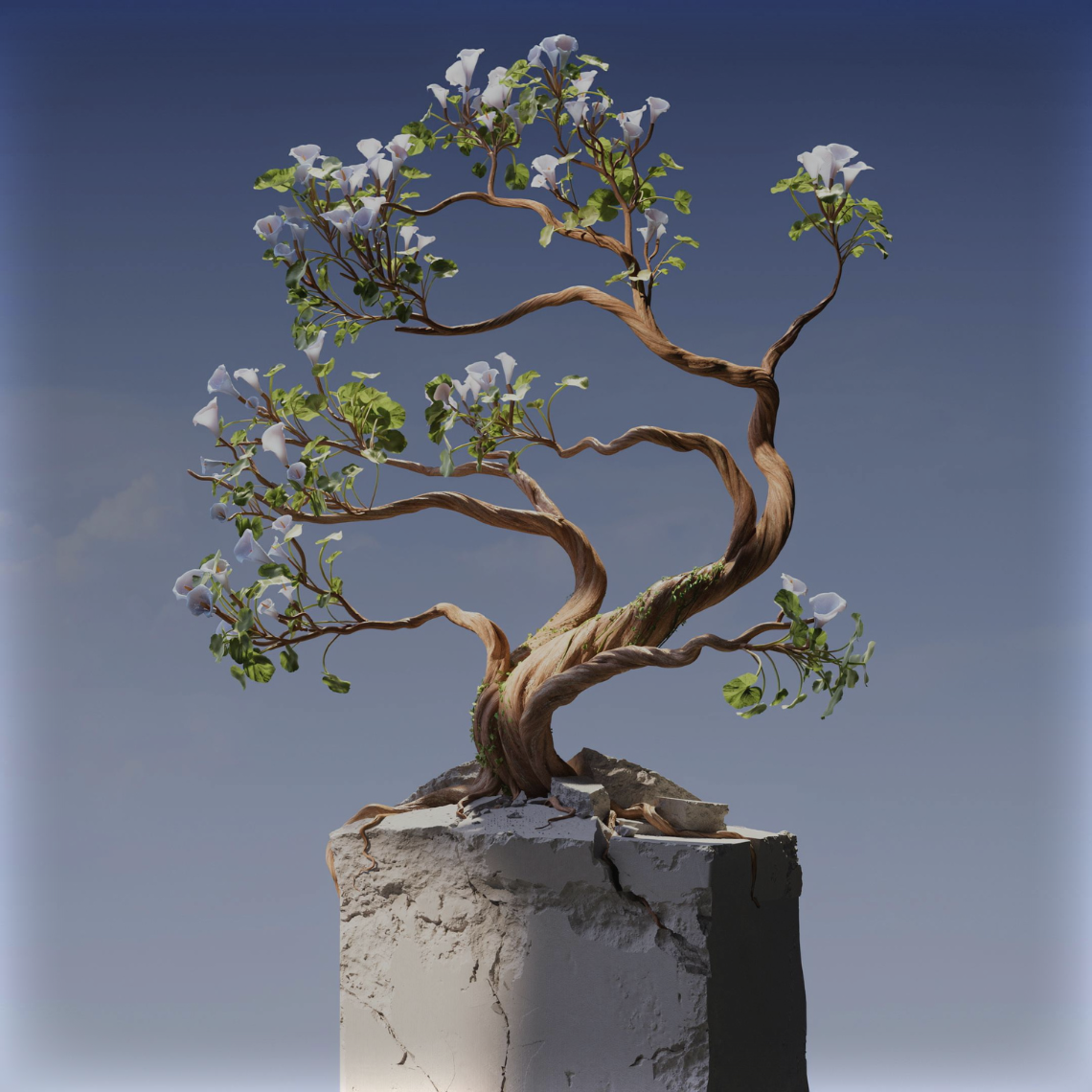 Post Card Image Alt Text