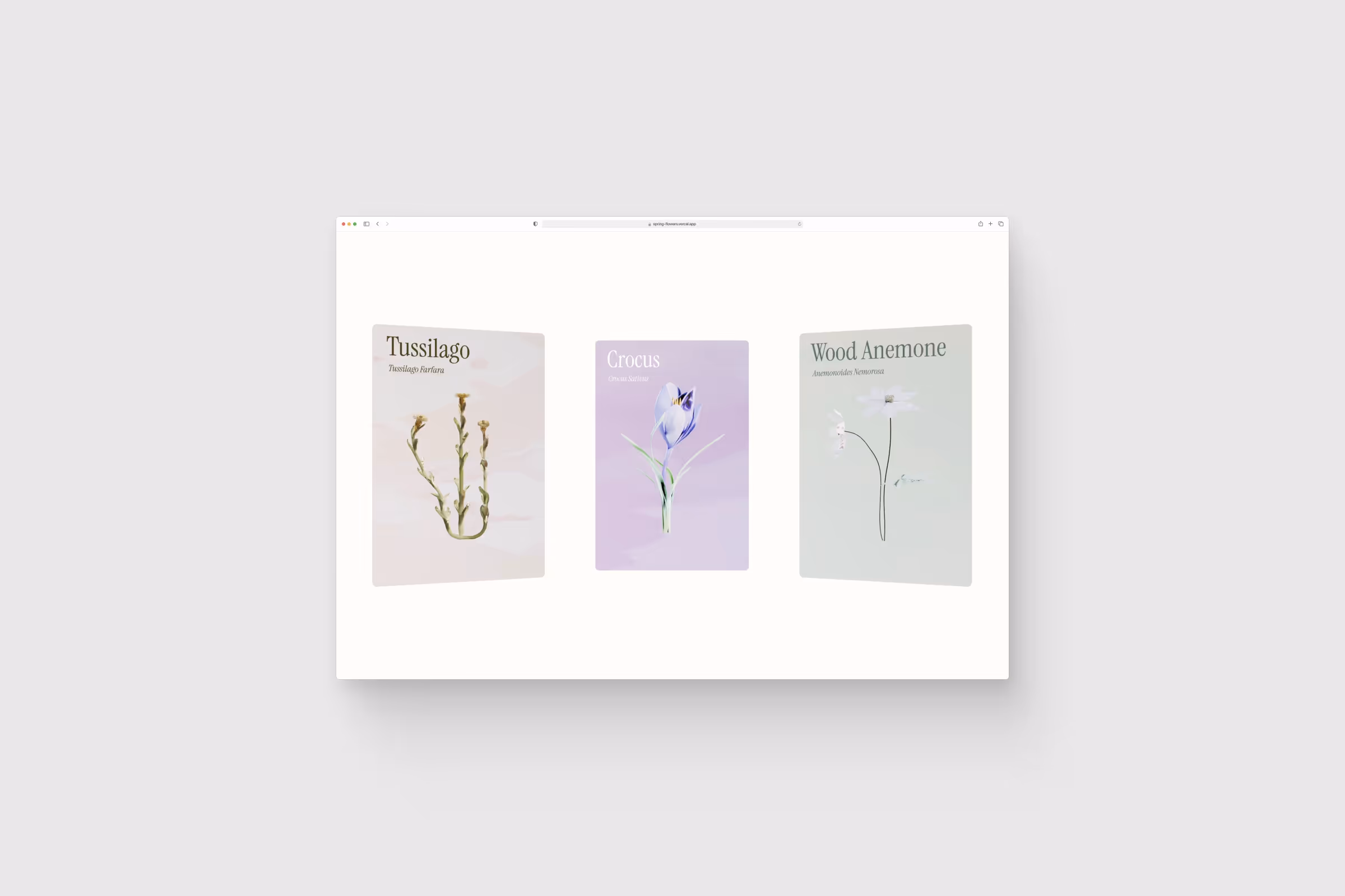 Link to the case study