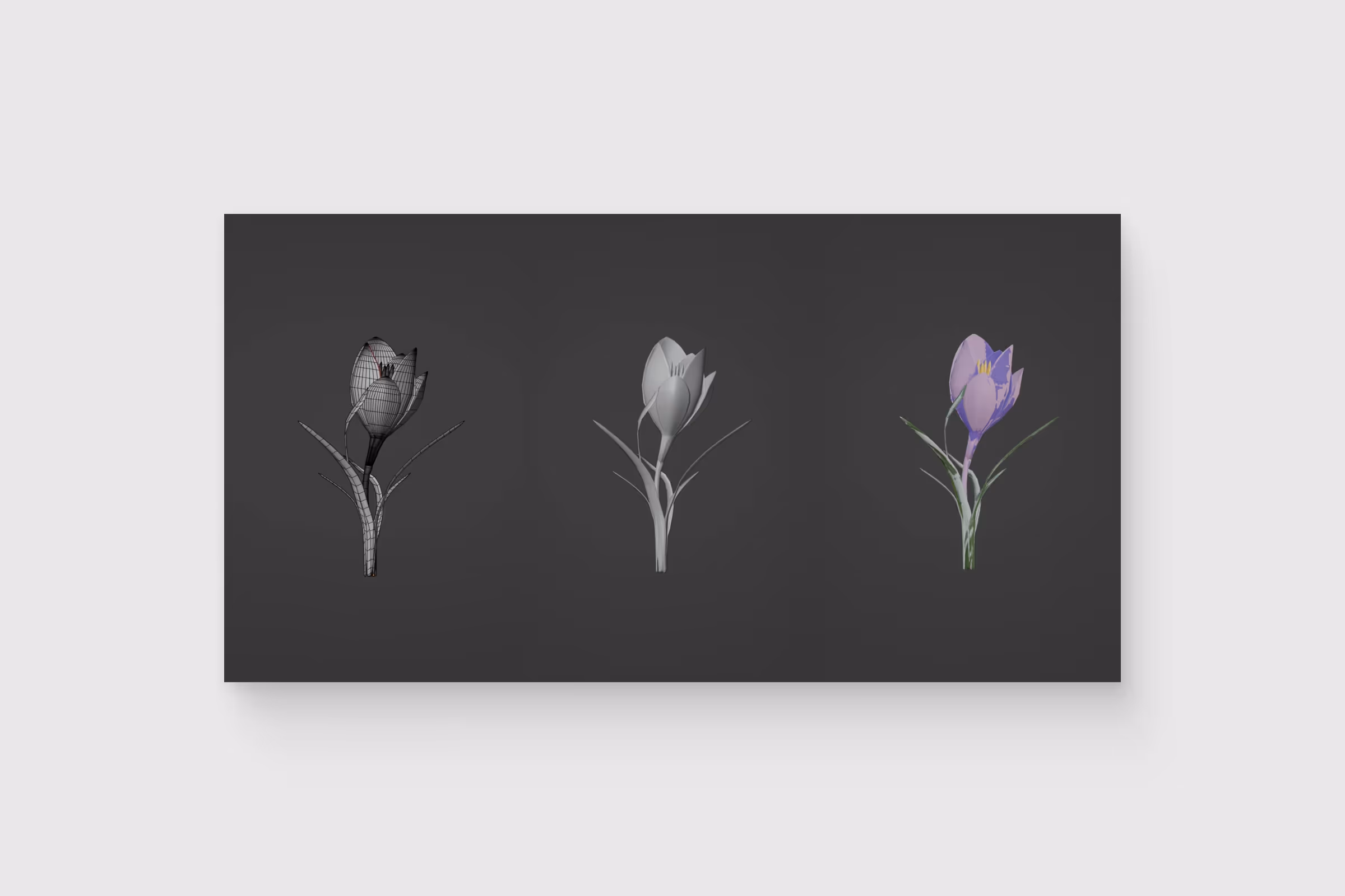 A screenshot from a case study 