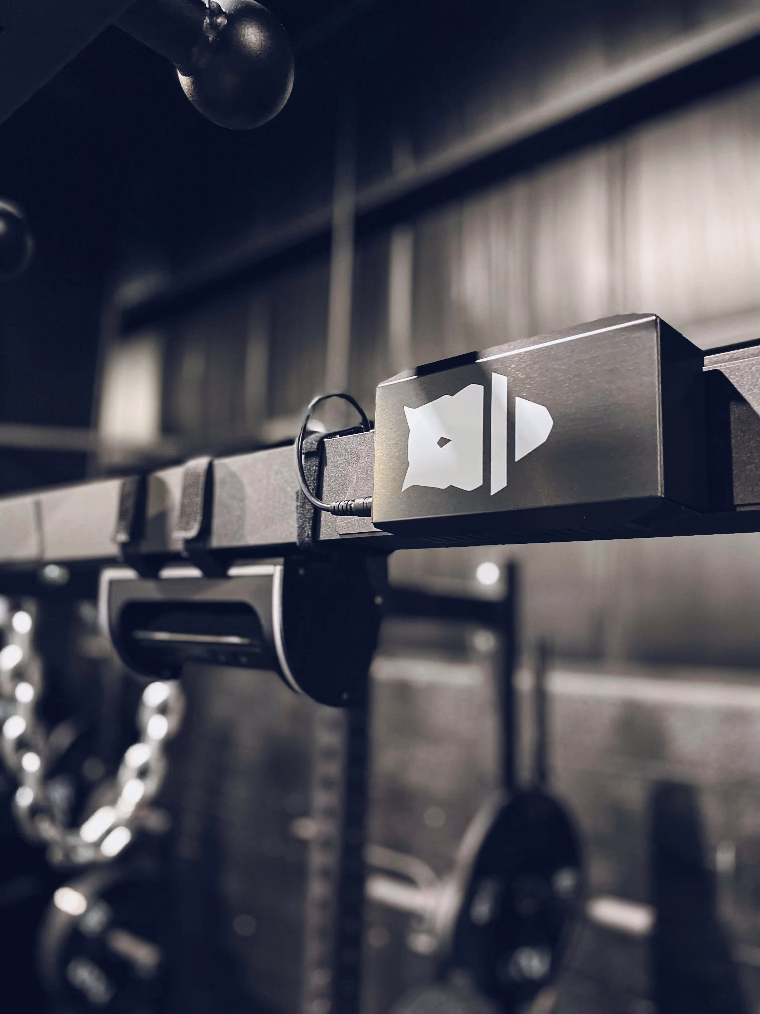 perch on weight rack jacob rothman revolutionizing sports industry