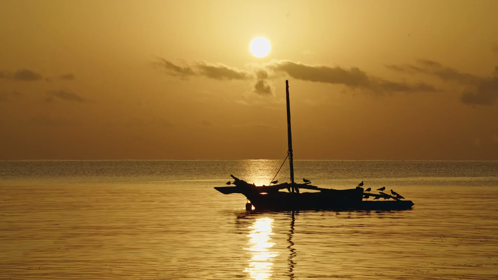 Dhow sailing at sunrise off Bamburi Beach