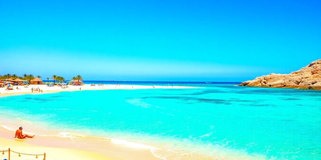Beach scene in Cabo with palm trees and clear waters.