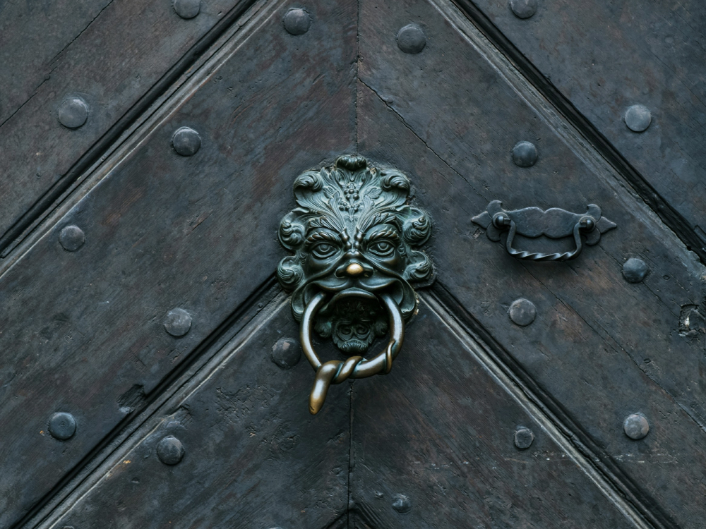 Brass lion door knocker on a big wooden door.