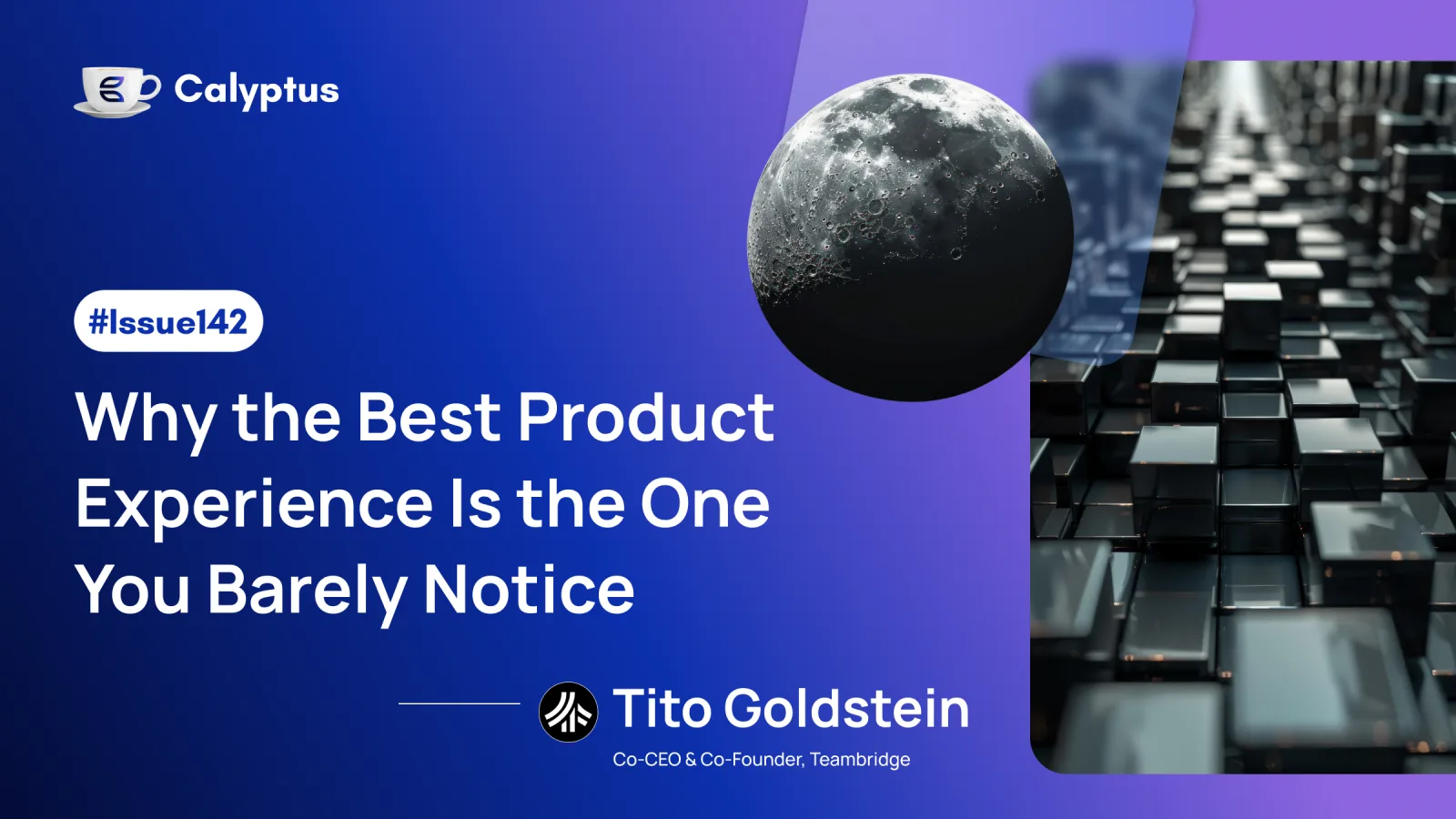 Issue 142: Why the Best Product Experience Is the One You Barely Notice Ft. Tito Goldstein ,Co-Founder @Teambridge