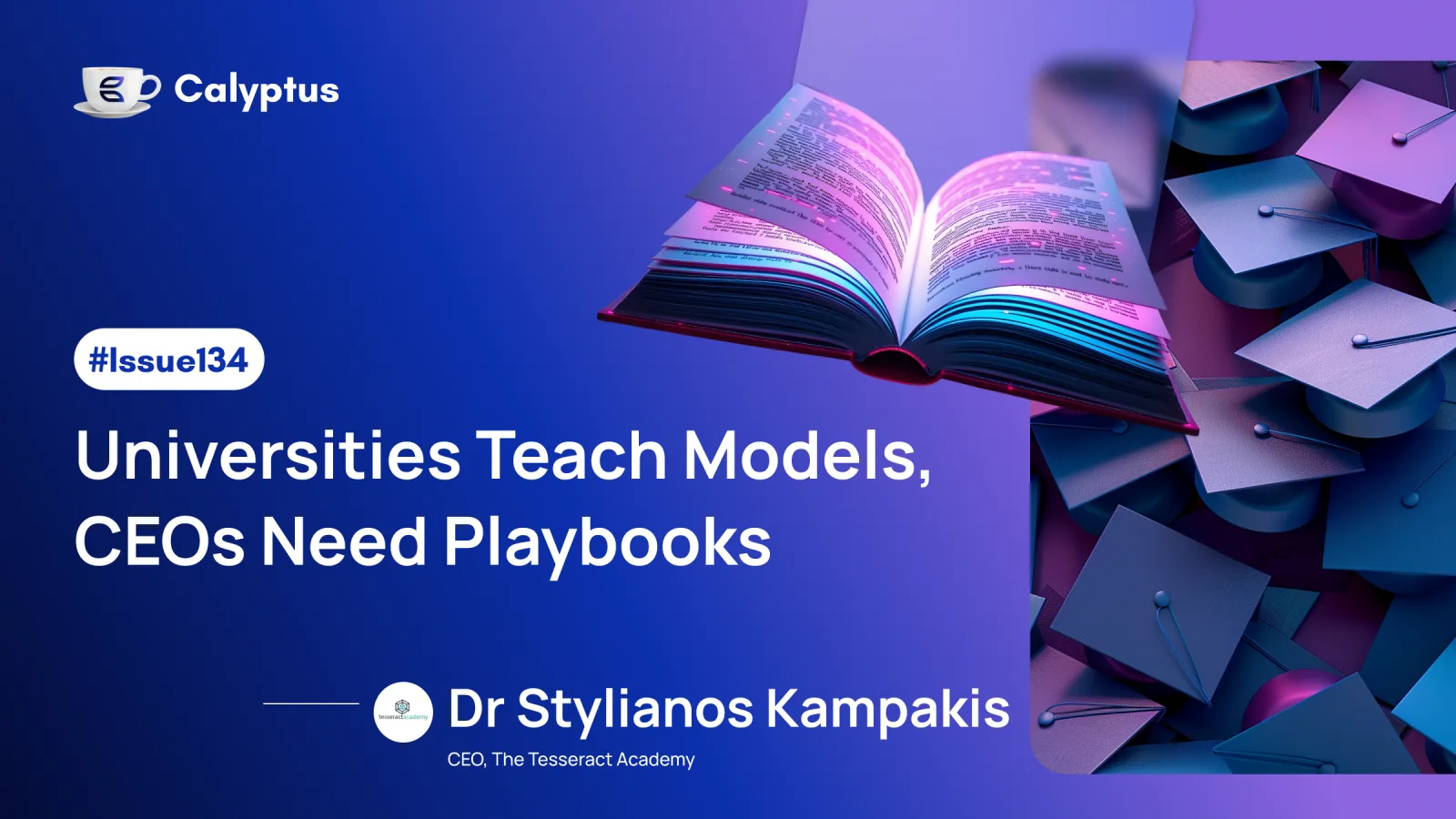 Issue 134: Universities Teach Models, CEOs Need Playbooks Ft. Dr Stylianos Kampakis, CEO @The Tesseract Academy