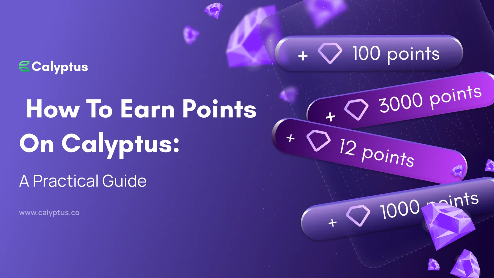 How to Earn Points on Calyptus: A Practical Guide