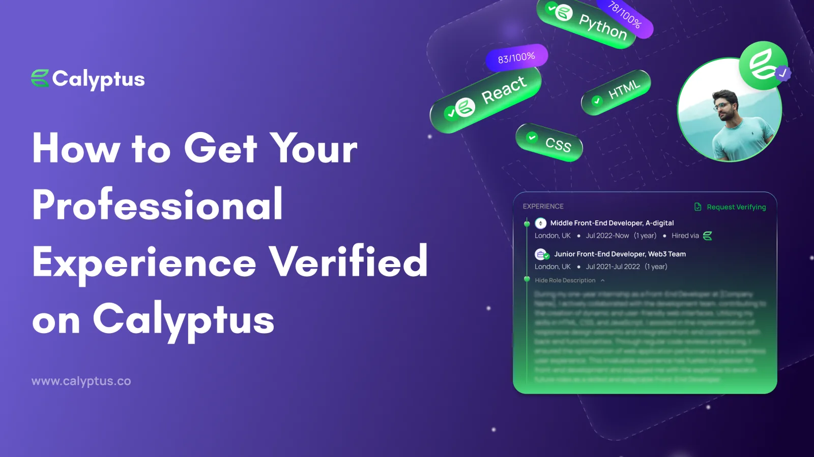 How to Get Your Professional Experience Verified on Calyptus