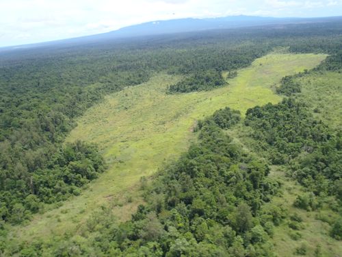 Wowo Gap PNG aerial image