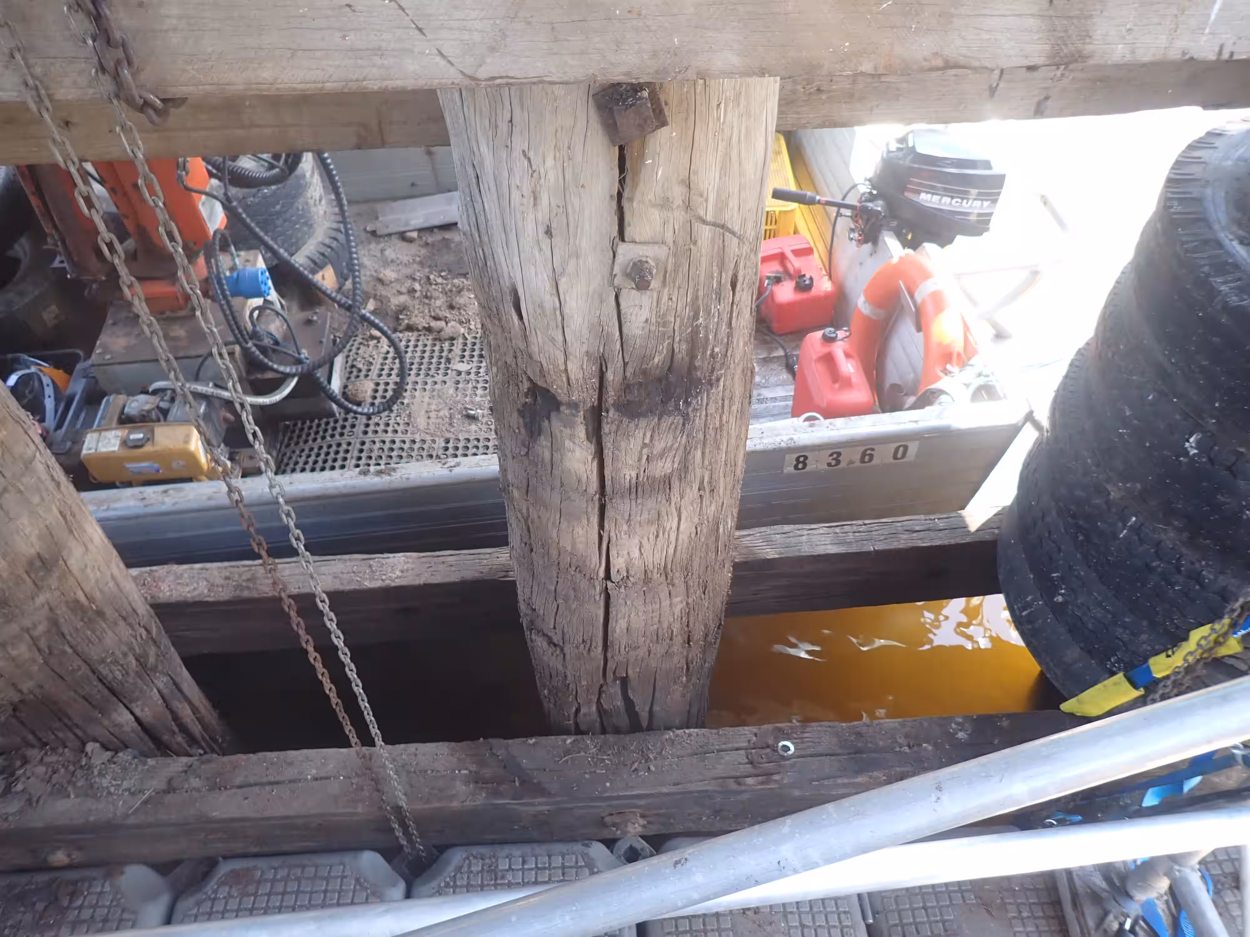 Timber support pile showing visible cracking and age-related damage near the waterline