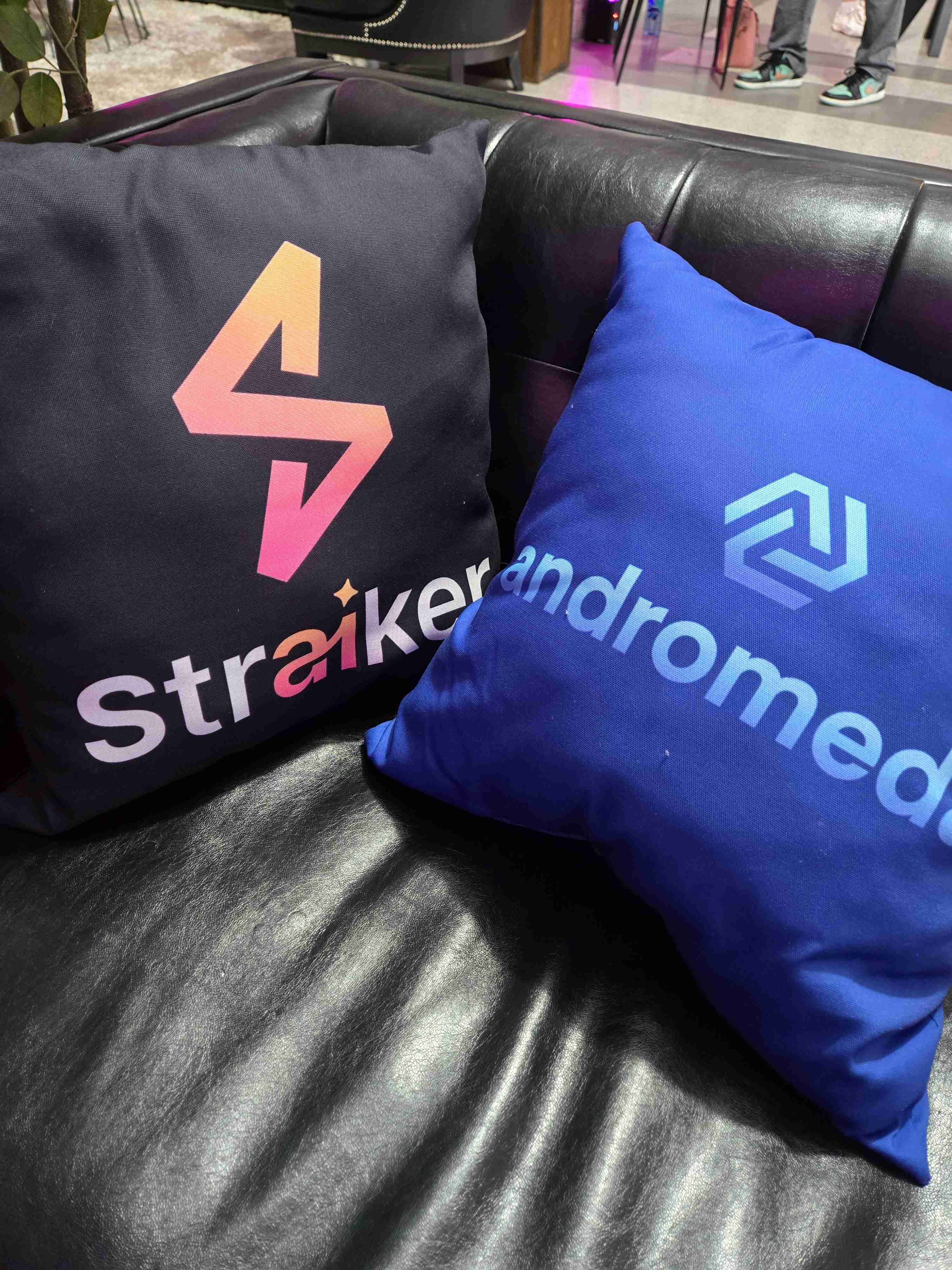 Straiker Andromeda cushions